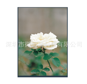 LCD液晶屏出現(xiàn)閃屏怎么解決？